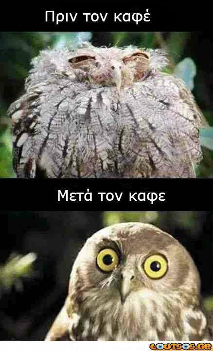 Τα YOLO της Παρασκευής