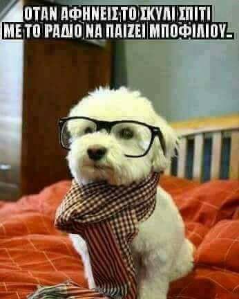 Τα YOLO της Δευτέρας Τα YOLO της Δευτέρας