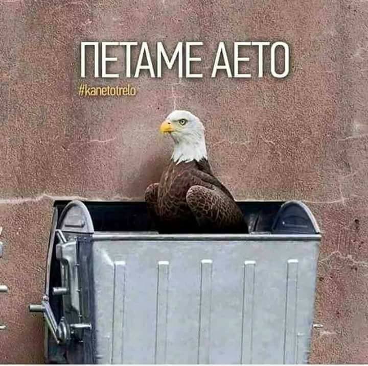 Τα YOLO της Τρίτης Τα YOLO της Τρίτης