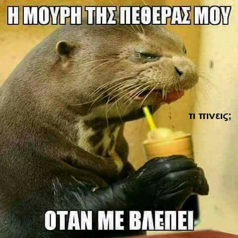 Τα YOLO της Τρίτης Τα YOLO της Τρίτης