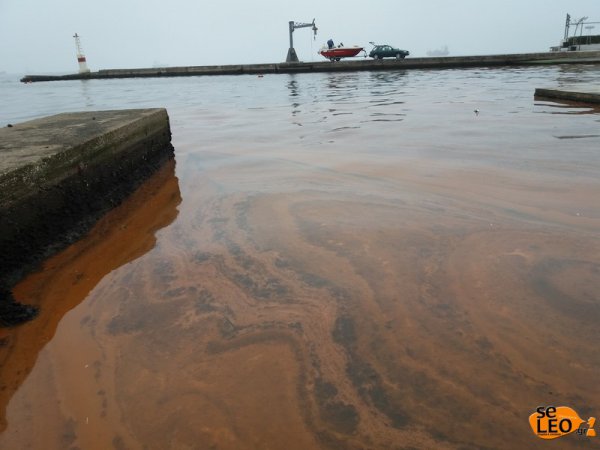 Ξανά η ερυθρά παλίρροια