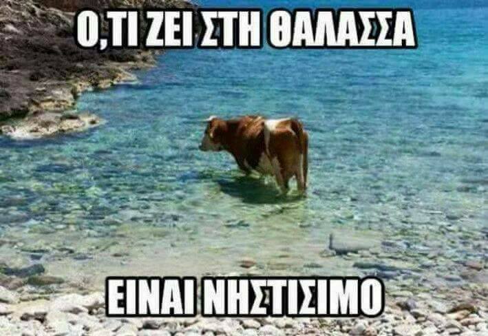 Τα YOLO της Τετάρτης