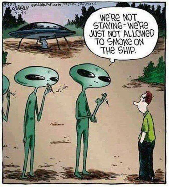 Τα YOLO της Κυριακής Τα YOLO της Κυριακής