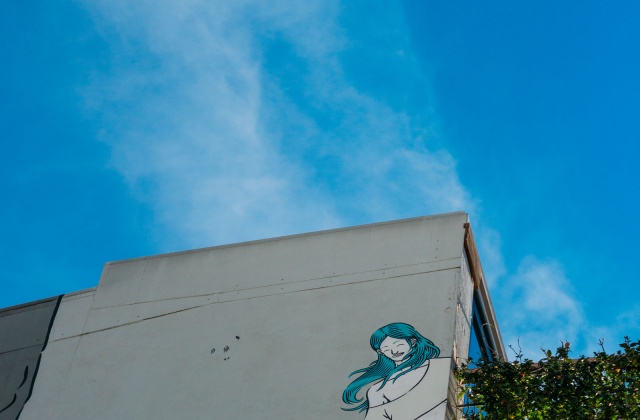 Δημήτρης Έκτορας Βούτσας, Ψυρρή