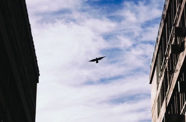 Δημήτρης Έκτορας Βούτσας, Μεταξουργείο