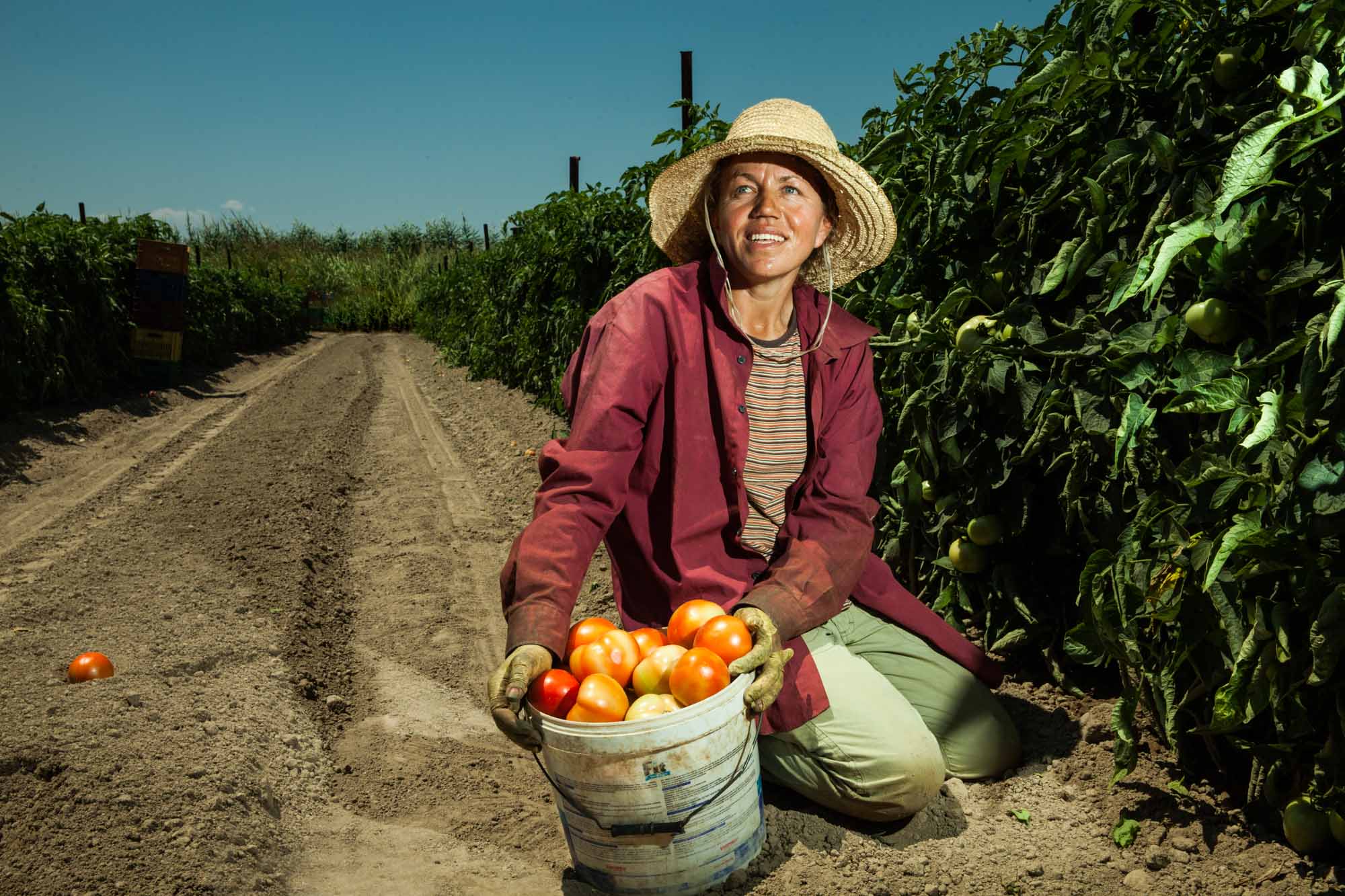 Βουλγάρα εργάτρια. Γη, θρέψη, κούραση, γεωργία, όλα γένους θηλυκού.