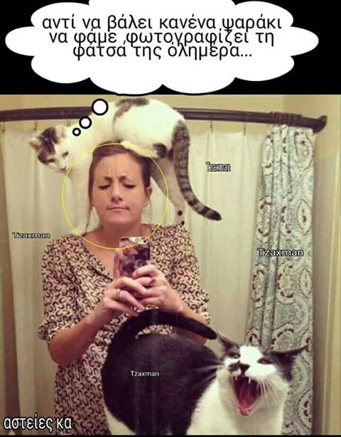 Τα YOLO της Τετάρτης