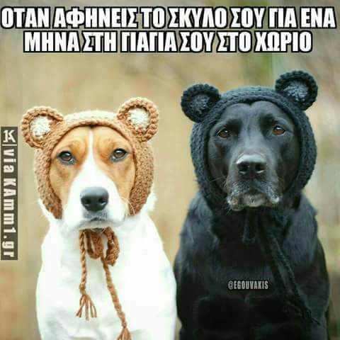 Τα YOLO του Σαββάτου Τα YOLO του Σαββάτου