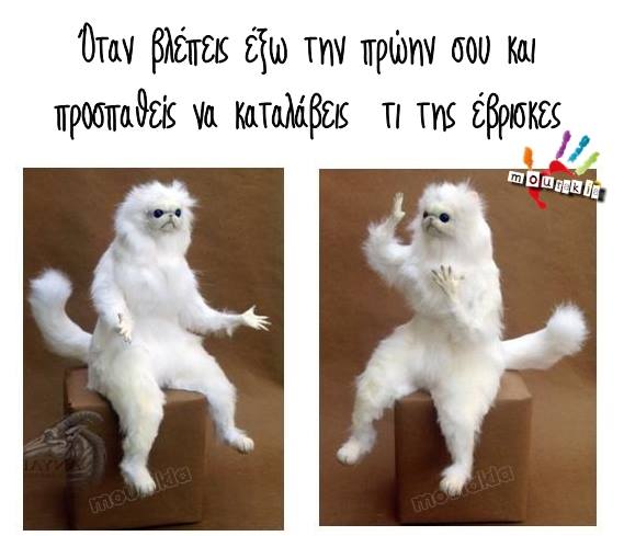 Τα YOLO της Πέμπτης