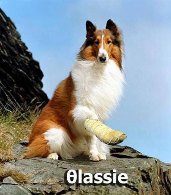 Τα YOLO της Πέμπτης