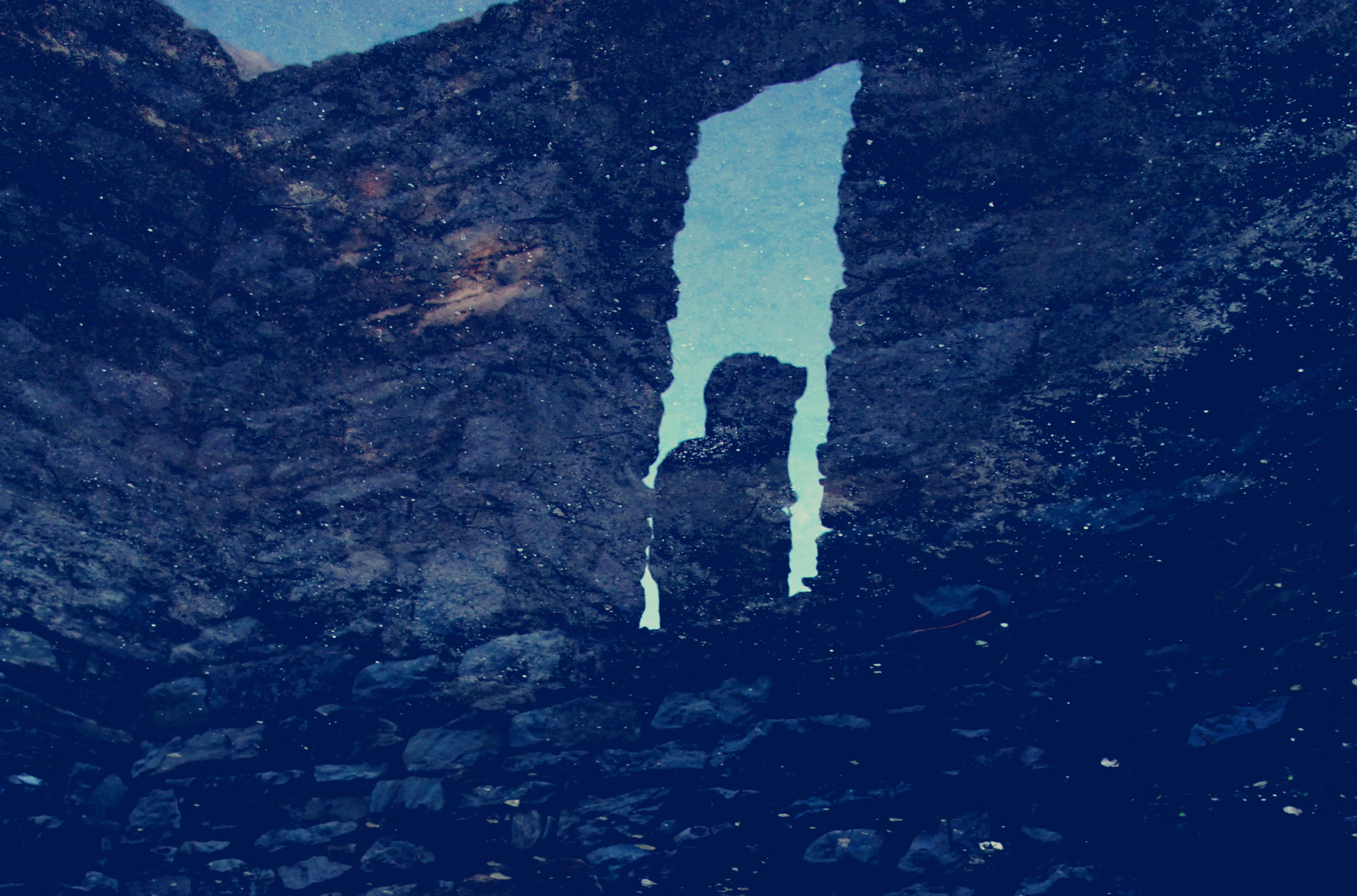 Keep Shelly In Athens Keep Shelly In Athens