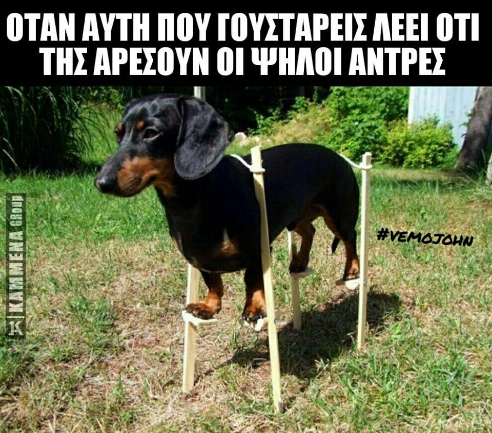 Τα YOLO της Παρασκευής Τα YOLO της Παρασκευής