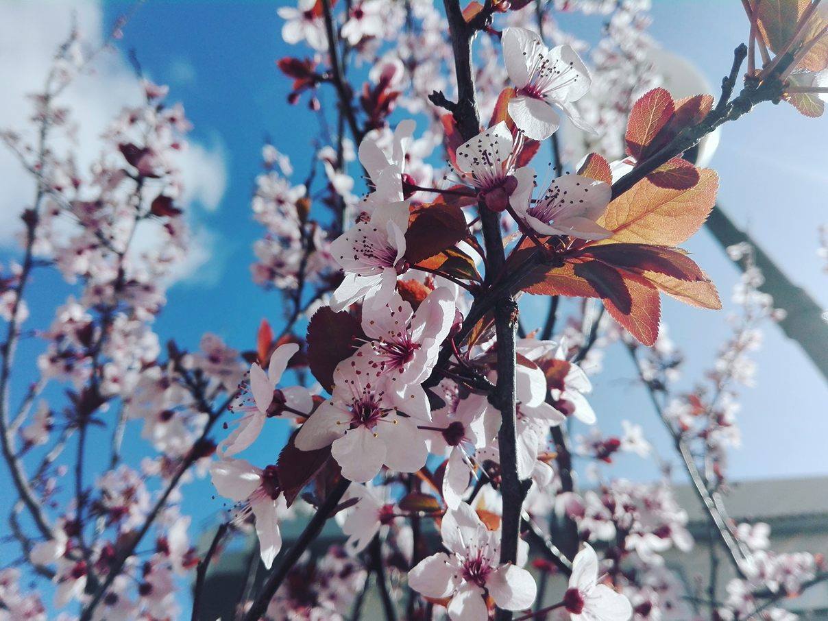 © Δημητρα Μουρ © Δημητρα Μουρ