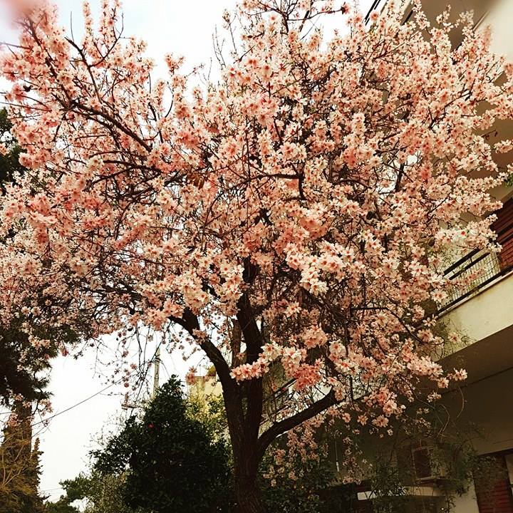 © Angeliki Kala © Angeliki Kala