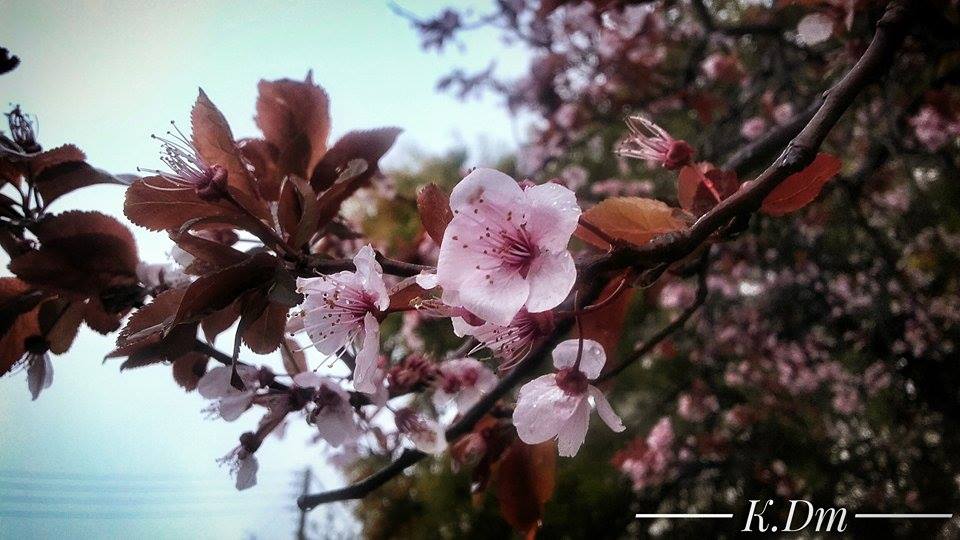 © Katerina Dimitratou © Katerina Dimitratou