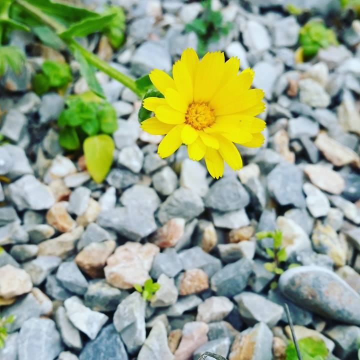 © Sofia Vasilopoulou © Sofia Vasilopoulou