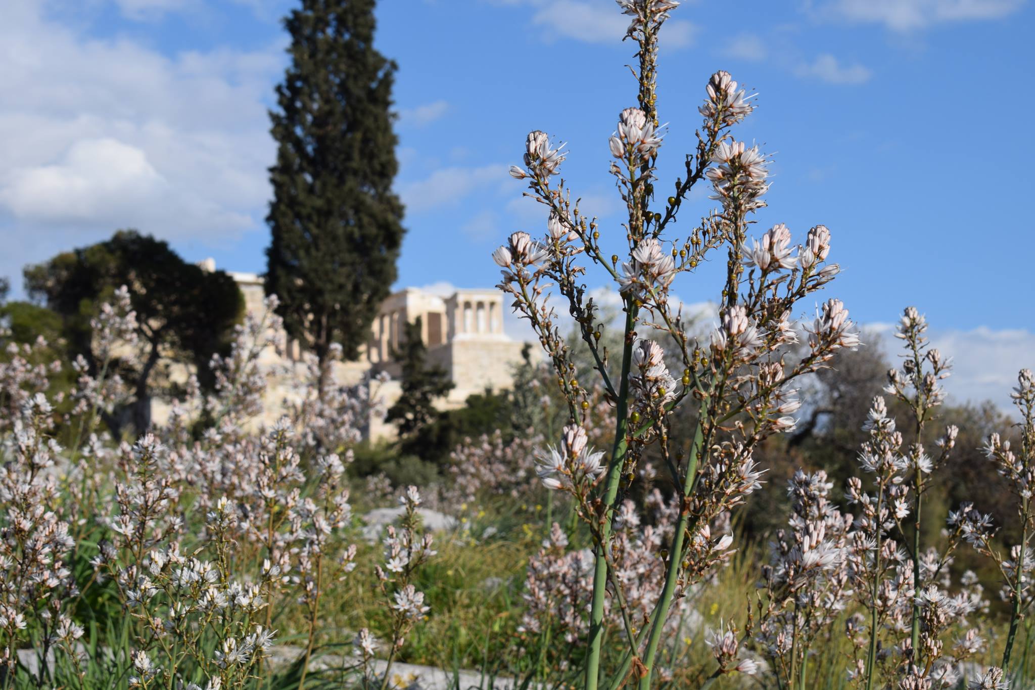 © Αλκμήνη Τακάτογλου © Αλκμήνη Τακάτογλου
