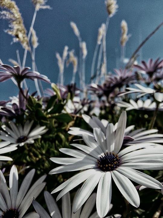 © Marios Anastasioy © Marios Anastasioy