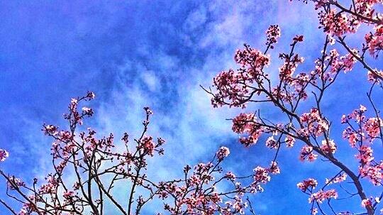 © Chara Sgoura / Πάτρα © Chara Sgoura / Πάτρα