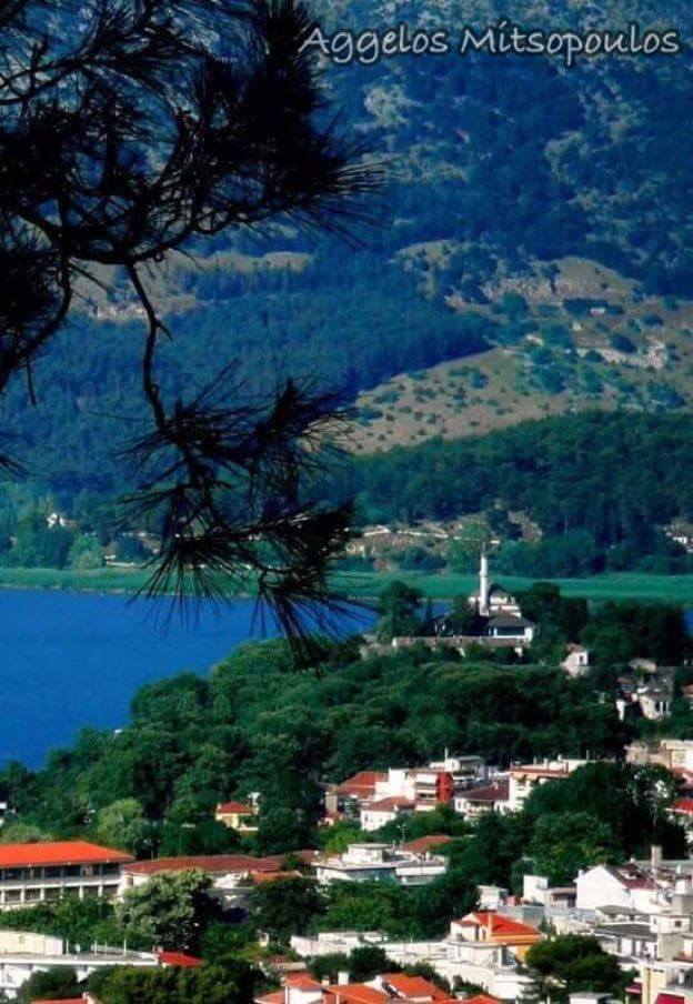 © Aggelos Mitsopoulos