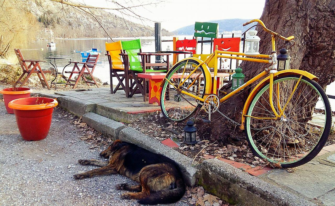 © Xrisa Ioannou / Καστοριά