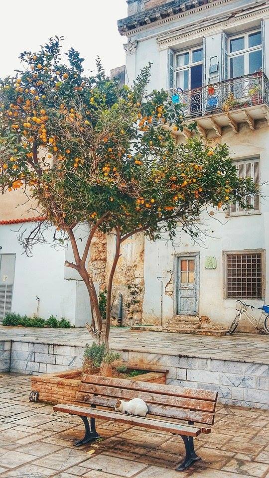 © Anisa Ginai / Ναύπλιο