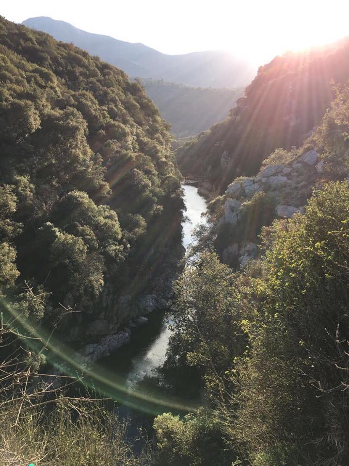 © Panagiwta Dimoliani / Αλφειός