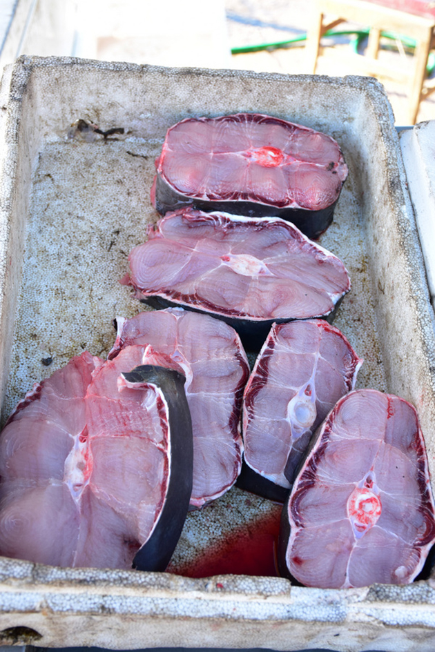 ΑΡΓΟΛΙΔΑ -ΚΑΡΧΑΡΙΑ ΕΒΓΑΛΑΝ ΣΤΗ ΝΕΑ ΚΙΟ