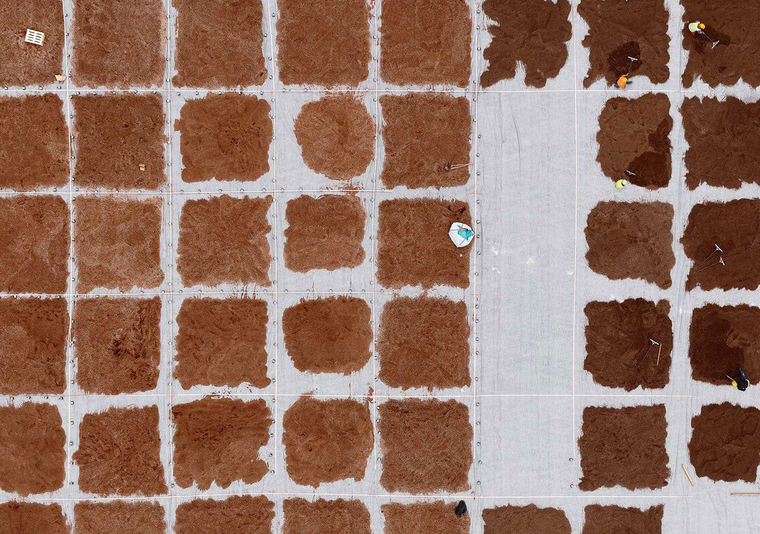 Βιβλιοθήκη, πράσινο δώμα, δημιουργία εδάφους για φύτεψη Βιβλιοθήκη, πράσινο δώμα, δημιουργία εδάφους για φύτεψη