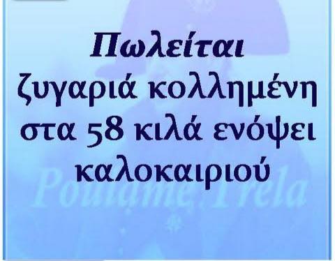 Τα YOLO της Παρασκευής