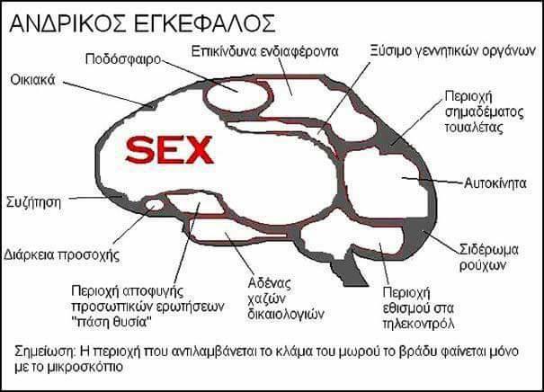 Τα YOLO της Τετάρτης