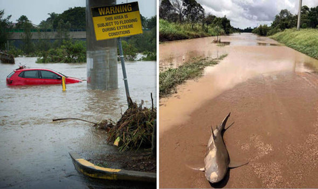 Η πανίσχυρη Ντέμπι έβγαλε μέχρι και καρχαρία στη στεριά Η πανίσχυρη Ντέμπι έβγαλε μέχρι και καρχαρία στη στεριά