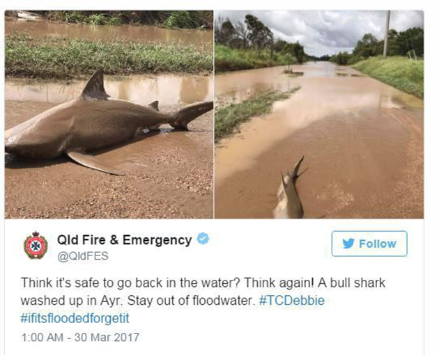Η πανίσχυρη Ντέμπι έβγαλε μέχρι και καρχαρία στη στεριά Η πανίσχυρη Ντέμπι έβγαλε μέχρι και καρχαρία στη στεριά