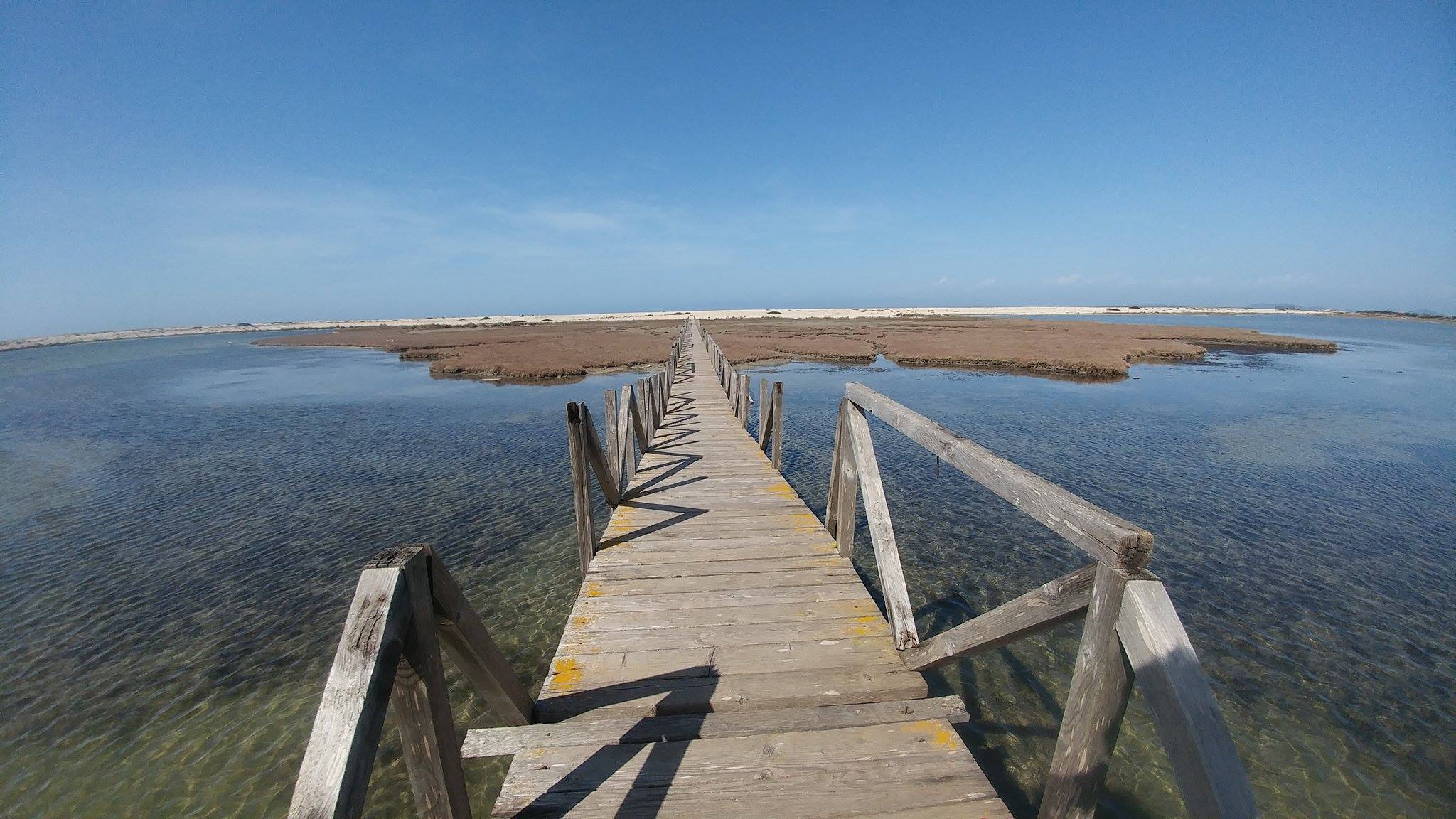 © Βασίλης Βάθης / Πλαγιά Αιτωλοακαρνανίας