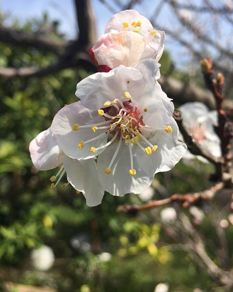 © Νασος Δρες / Άνοιξη στο Ρίο Πατρών