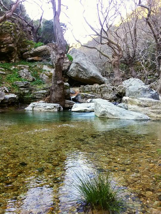 © Maria Grigoraki / Πανοχώρι, Πλατανιστός, Κάβο Ντόρο, Νότια Εύβοια