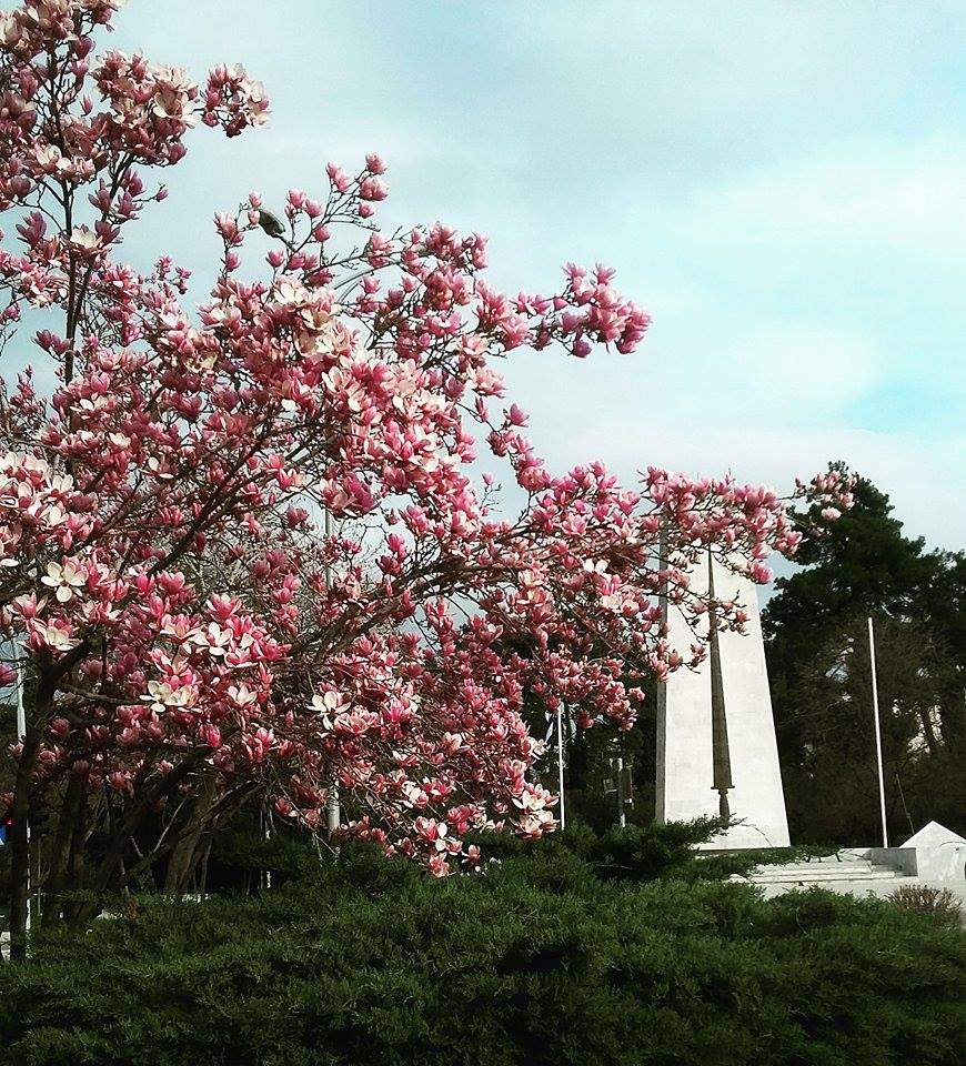 © Ηρω Σπηλιωτοπουλου / Κομοτηνή