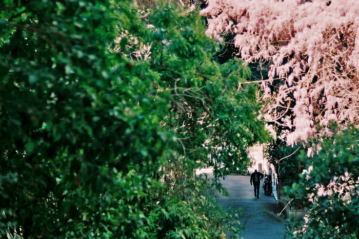 © Γιάννης Οικονόμου © Γιάννης Οικονόμου