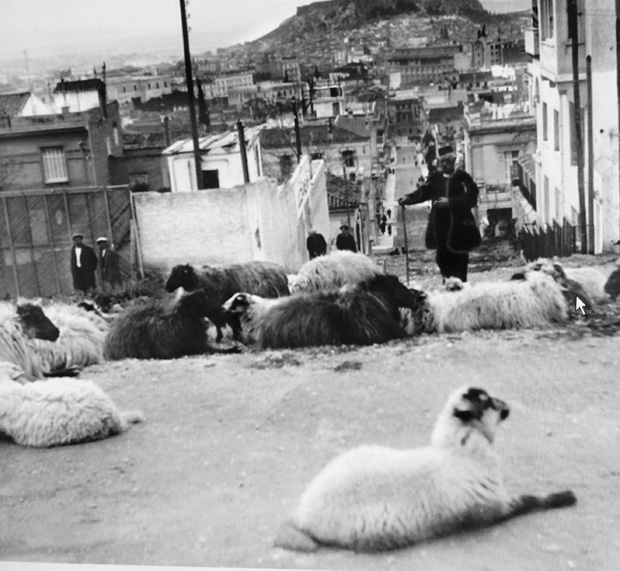 Επί Όθωνα στο Κολωνάκι έβοσκαν κατσίκες και πρόβατα Επί Όθωνα στο Κολωνάκι έβοσκαν κατσίκες και πρόβατα
