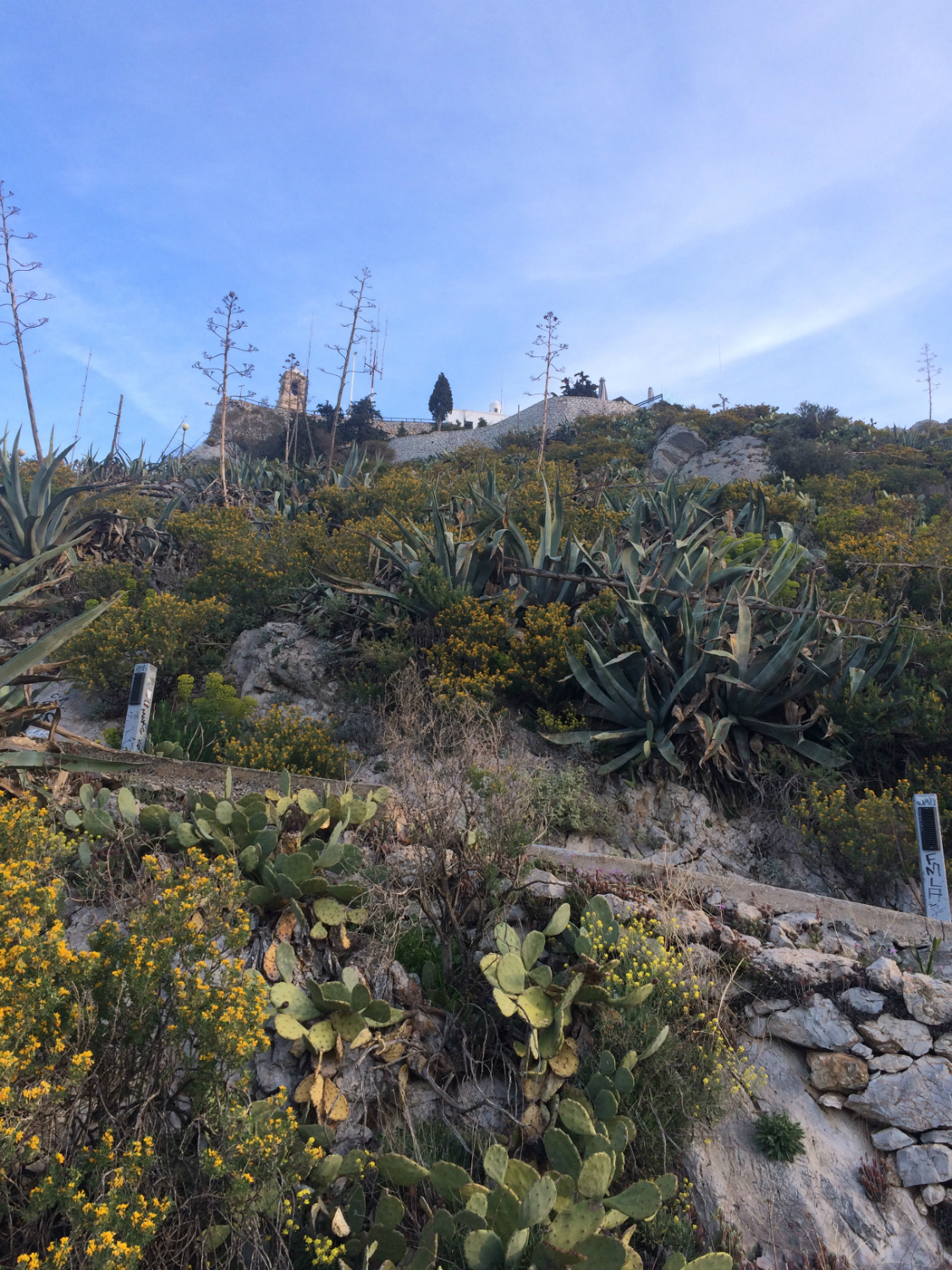 Στο φαράγγι του Λυκαβηττού​