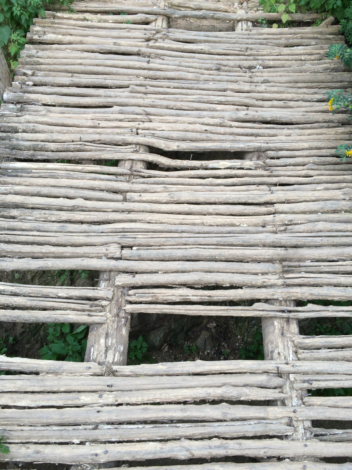 Στο φαράγγι του Λυκαβηττού​