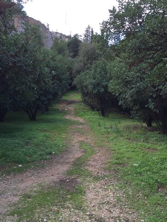 Στο φαράγγι του Λυκαβηττού​