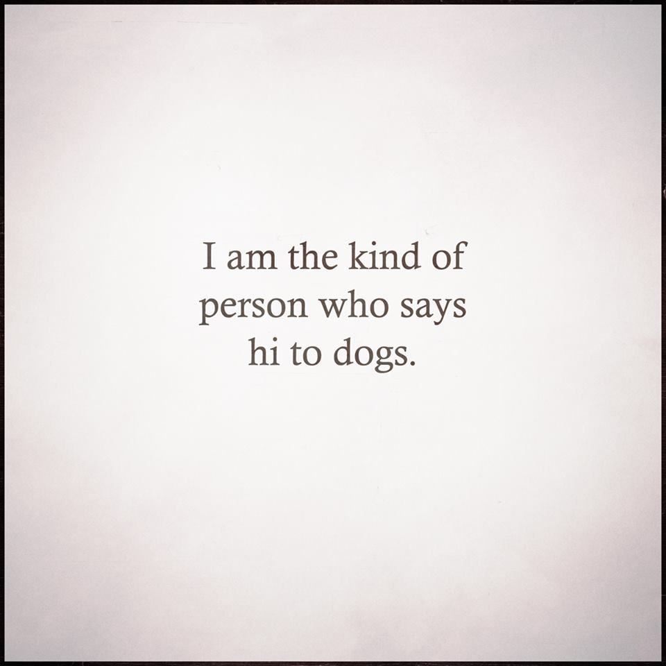 Τα YOLO της Κυριακής Τα YOLO της Κυριακής