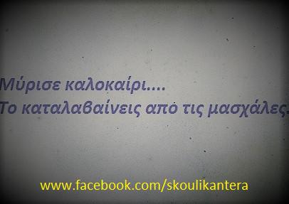 Τα YOLO της Κυριακής Τα YOLO της Κυριακής