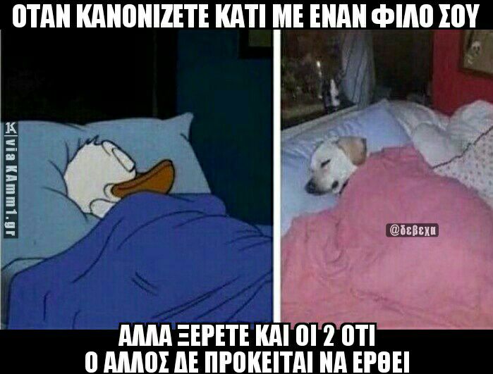 Τα YOLO της Κυριακής Τα YOLO της Κυριακής