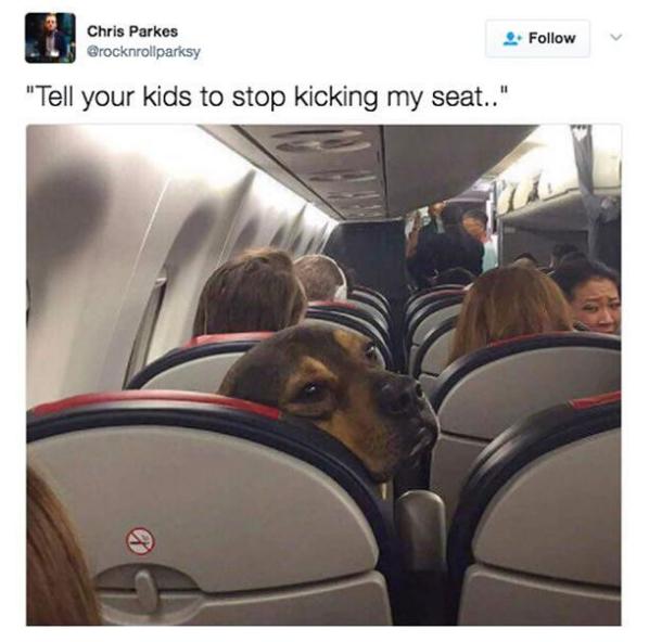 Τα YOLO της Τρίτης Τα YOLO της Τρίτης