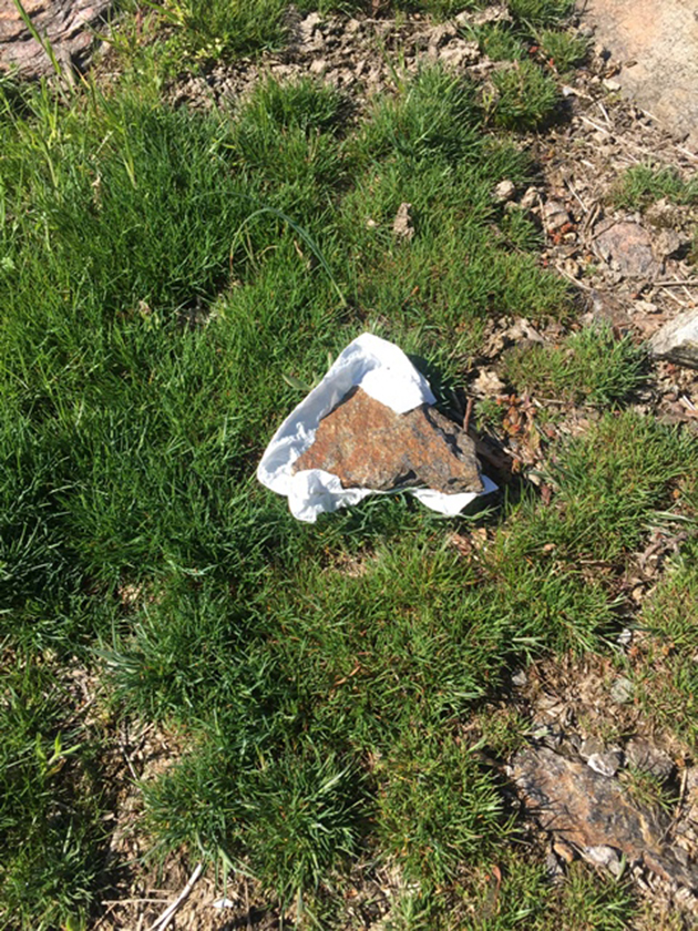 Με φόλες καθαρίζουν τα ζώα στα βουνά της Κομοτηνής