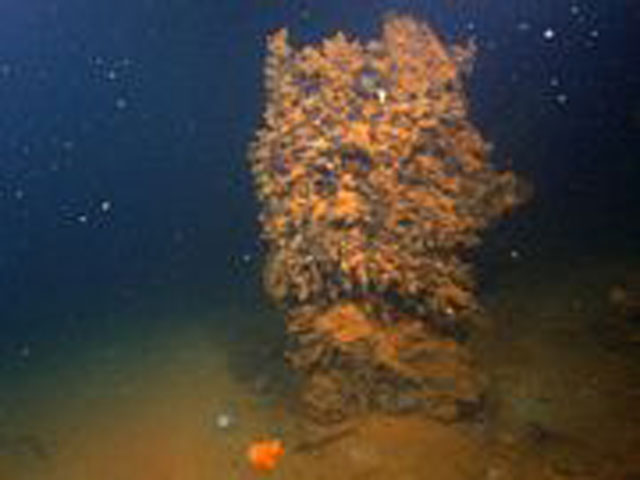 Photo Thera Expetition