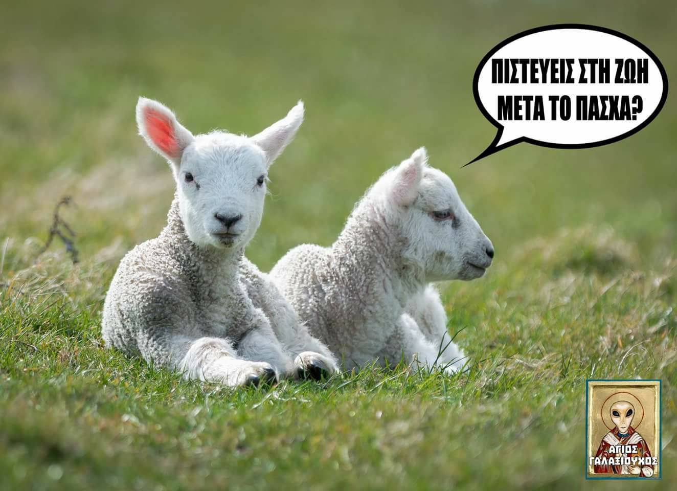 Τα YOLO της Παρασκευής