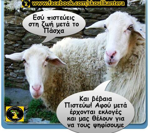 Τα YOLO της Παρασκευής